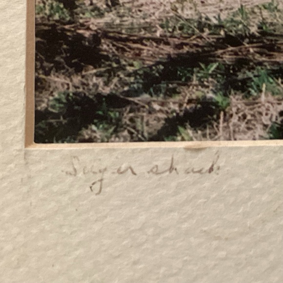 Black and white photo, tobacco barn, frame no glass 12” x 14 1/2” - Picture 10 of 10